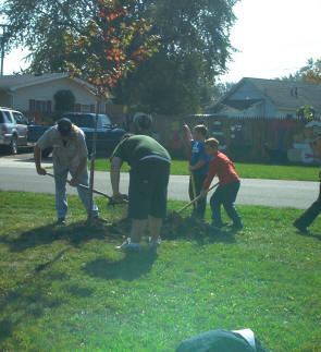 trees1.JPG (399123 bytes)