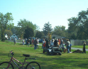 trees3.JPG (267142 bytes)